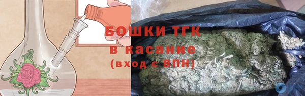 гидра Инсар