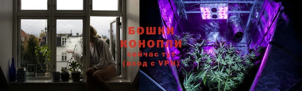 гидропоника Иннополис