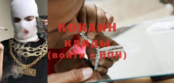 гидра Инсар