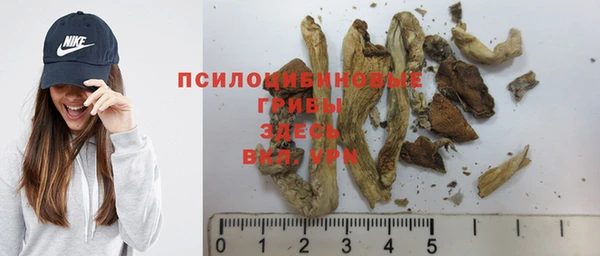 мескалин Инта