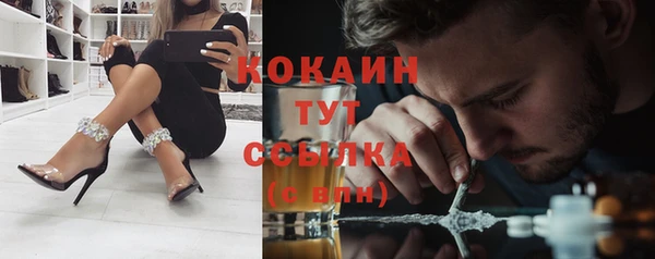 гидра Инсар