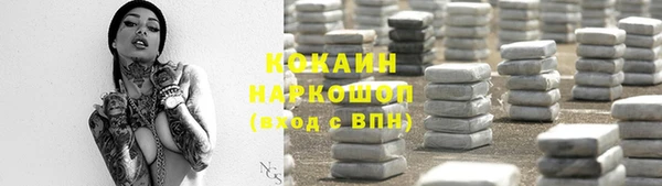 гидра Инсар