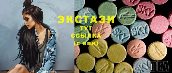 гидра Инсар