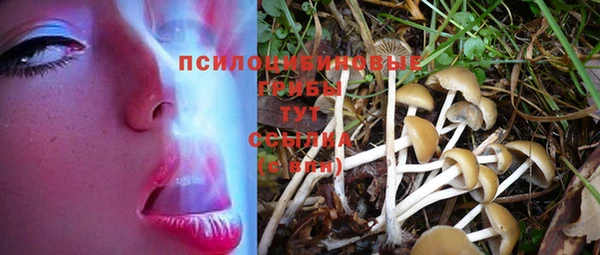 мескалин Инта