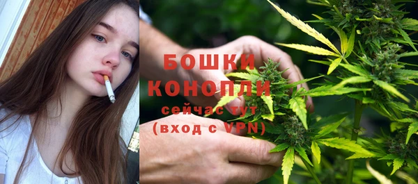 гидра Инсар