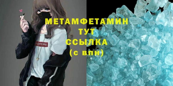гидра Инсар