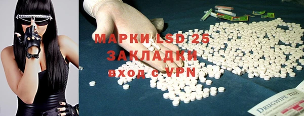 гидра Инсар