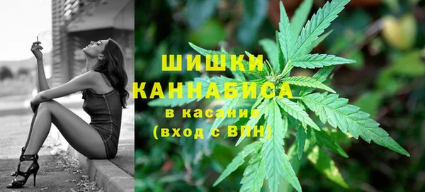 гидропоника Иннополис